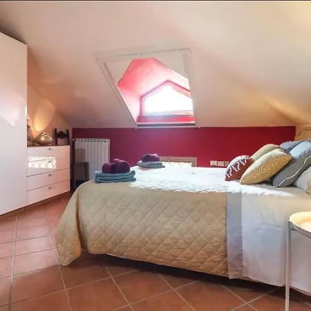 Rosa Lifestyle 3*