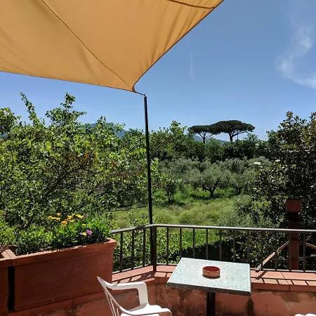 Bed & Breakfast Rosa Lifestyle 3*